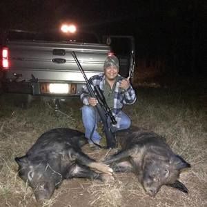 Meet your Posher, Joey